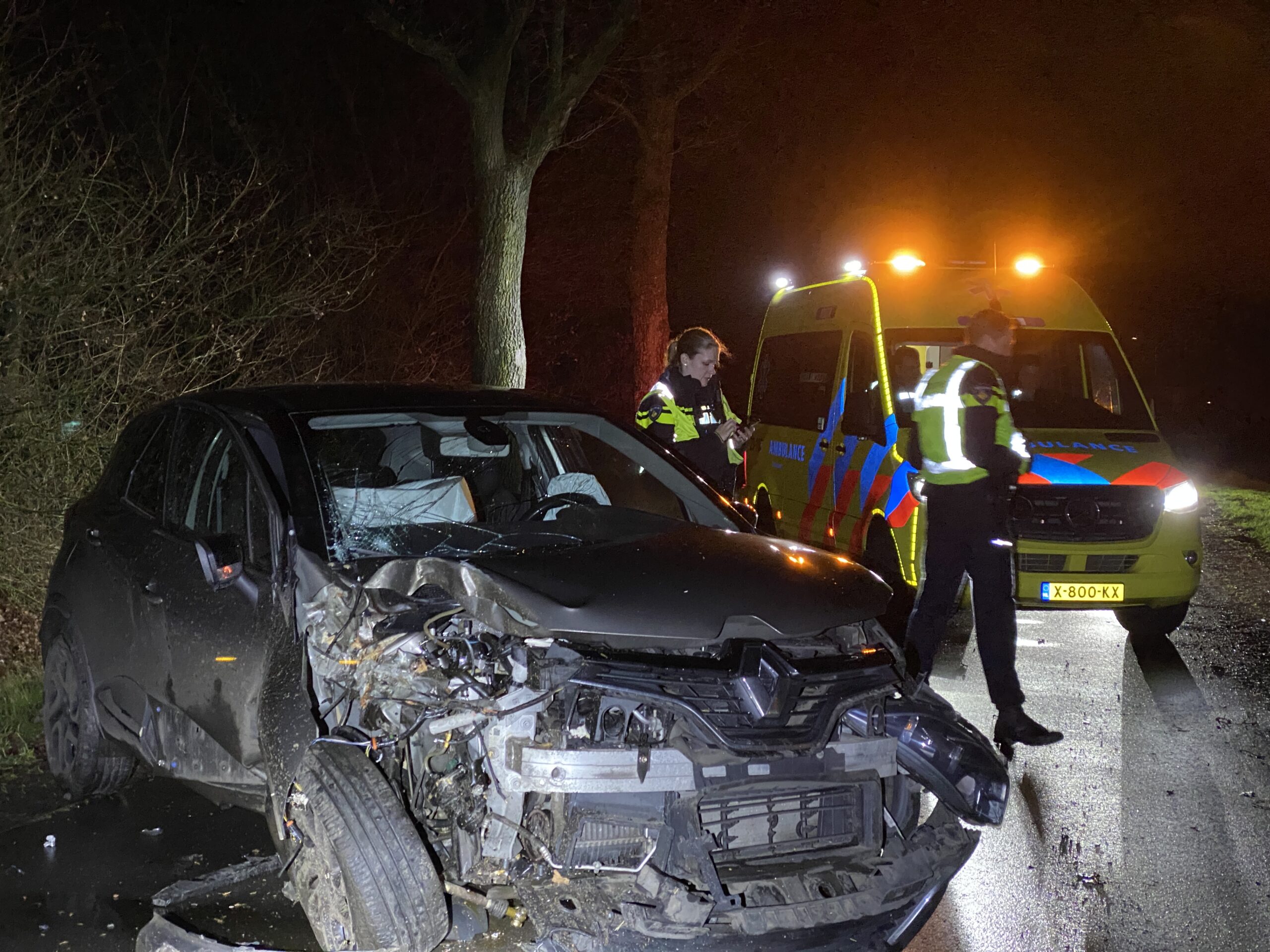 Automobilist gewond na aanrijding tegen boom