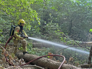 Brandweer weet beginnende bosbrand snel te blussen