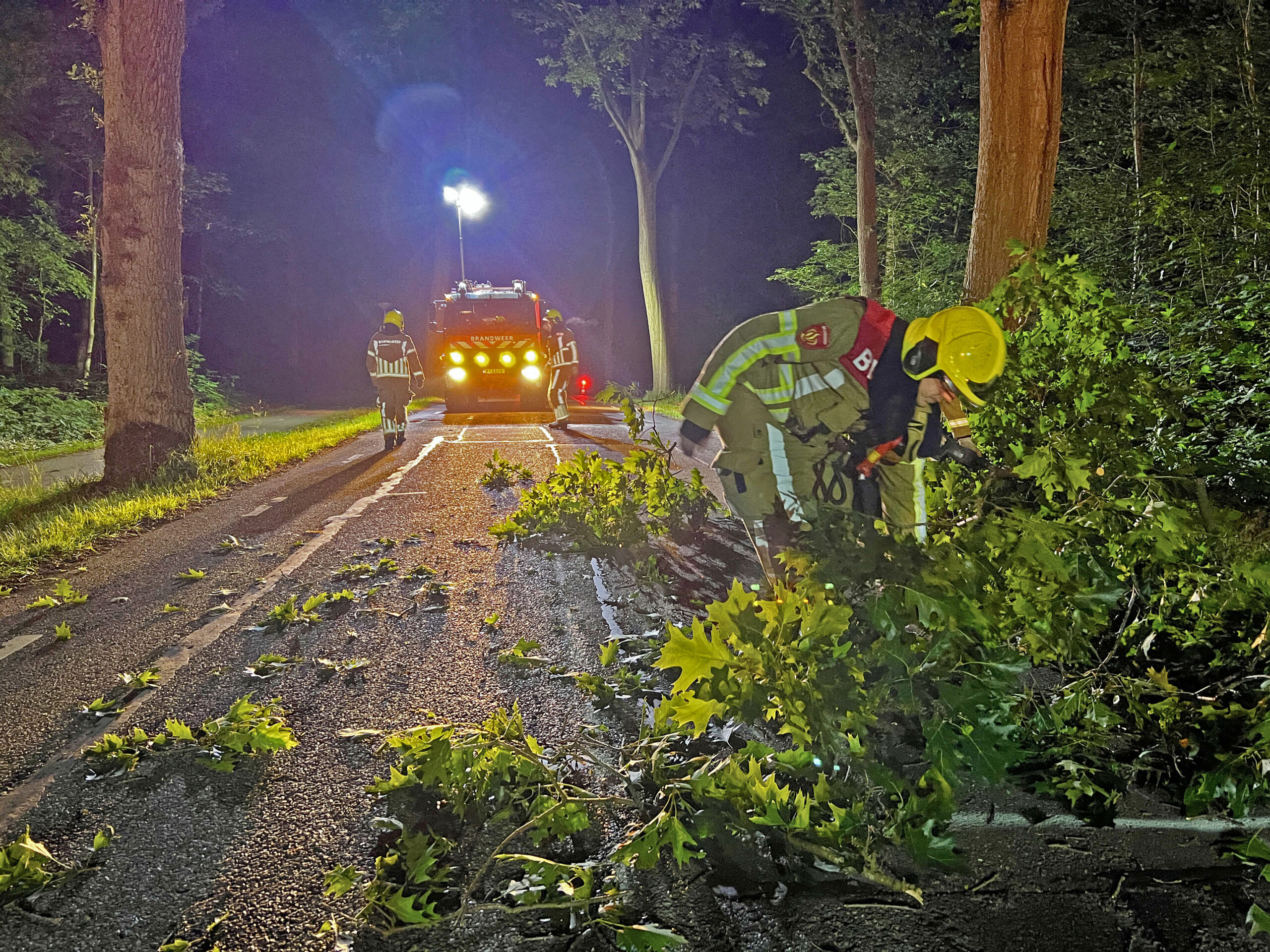 Flinke tak breekt af en blokkeert Bosstraat