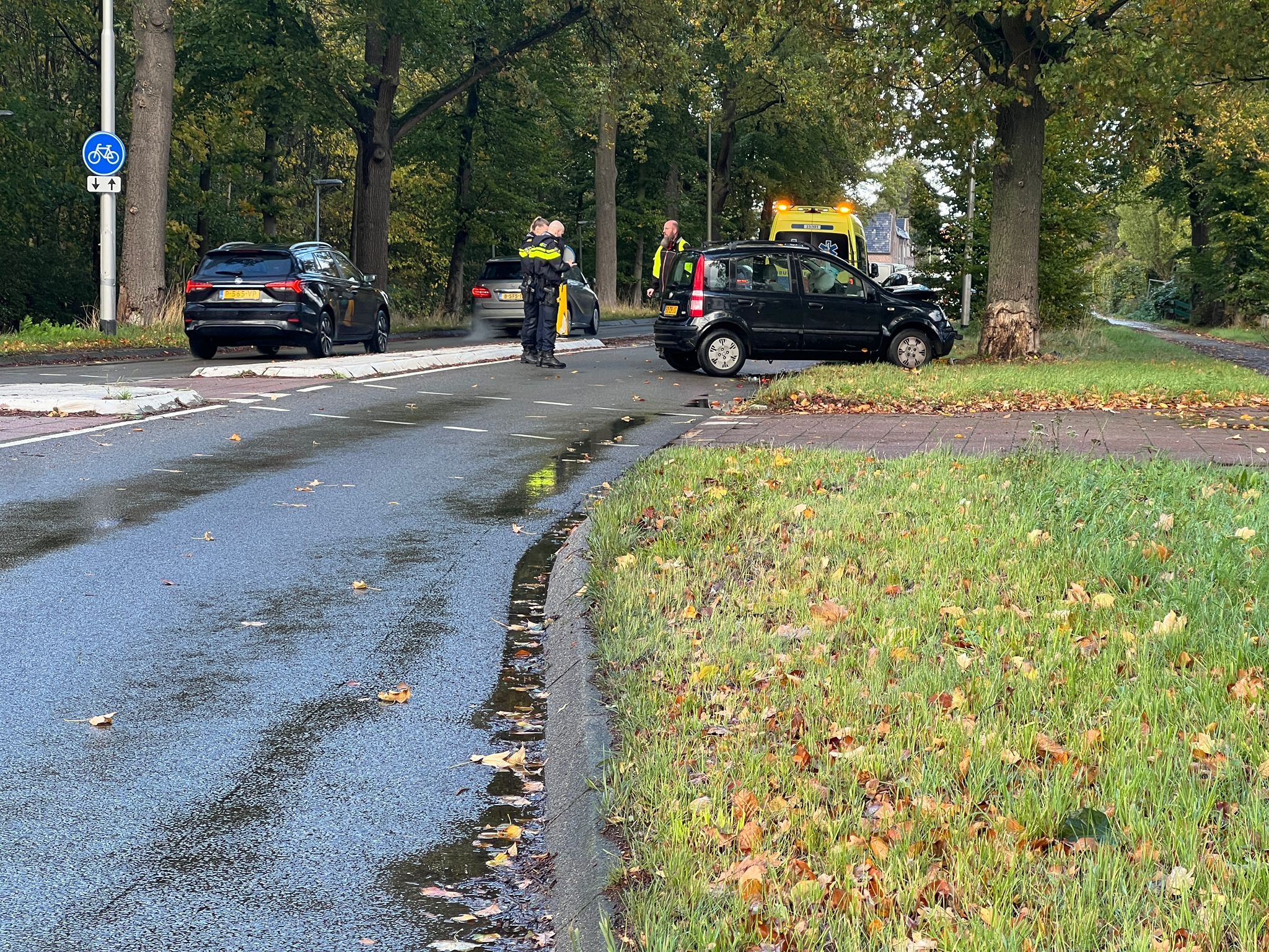 Automobiliste gewond na aanrijding tegen boom